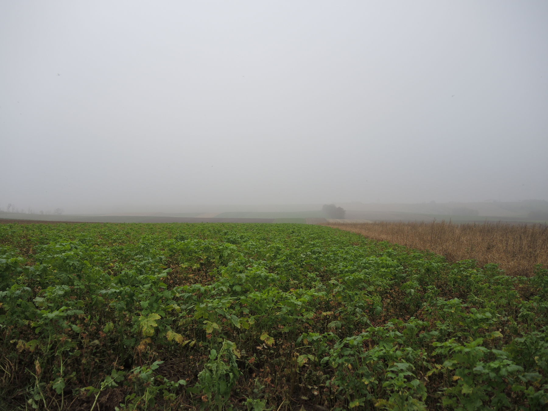 © Andrea Uhl LK NÖ © Andrea Uhl LK NÖ