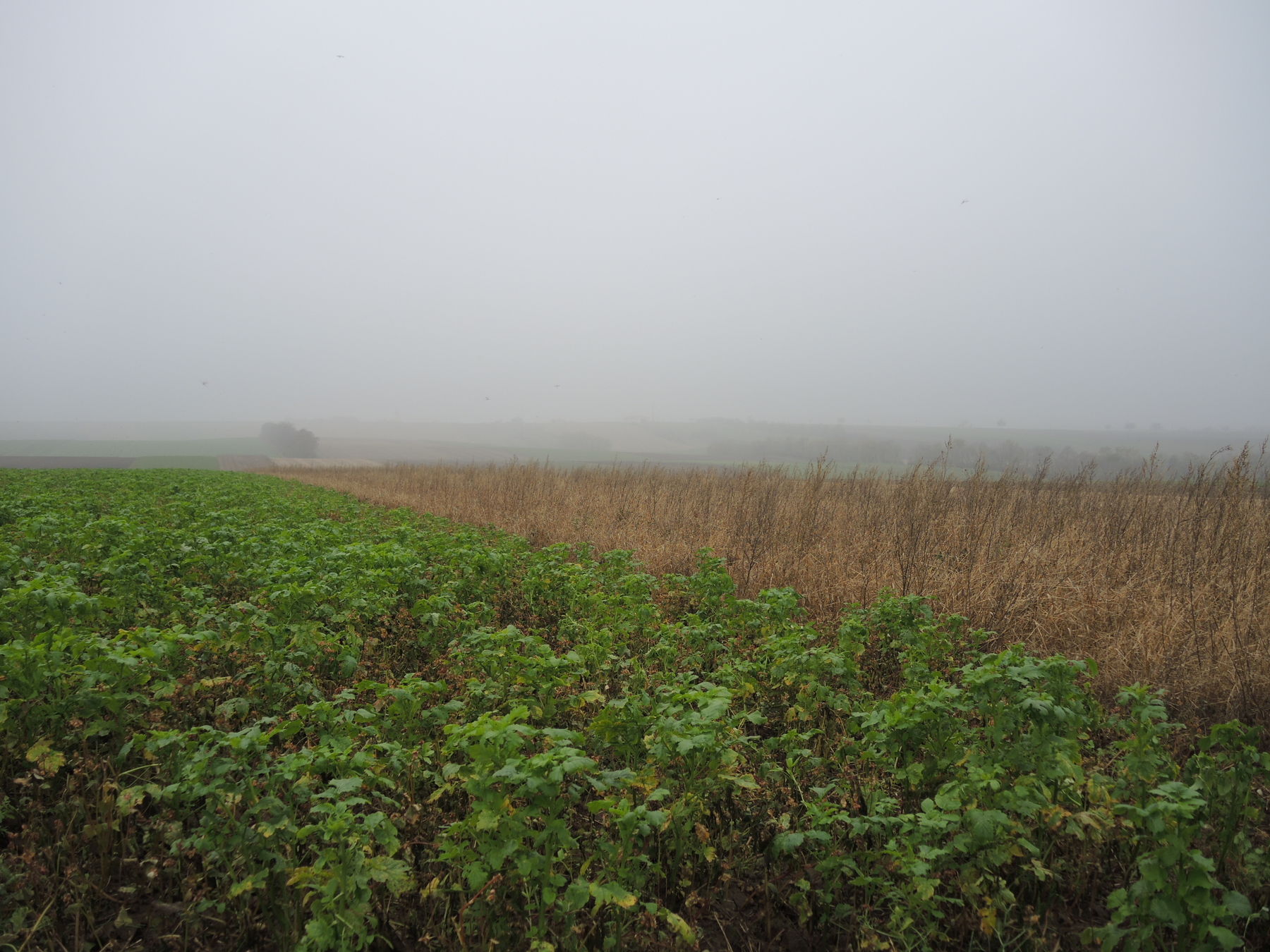 © Andrea Uhl LK NÖ © Andrea Uhl LK NÖ