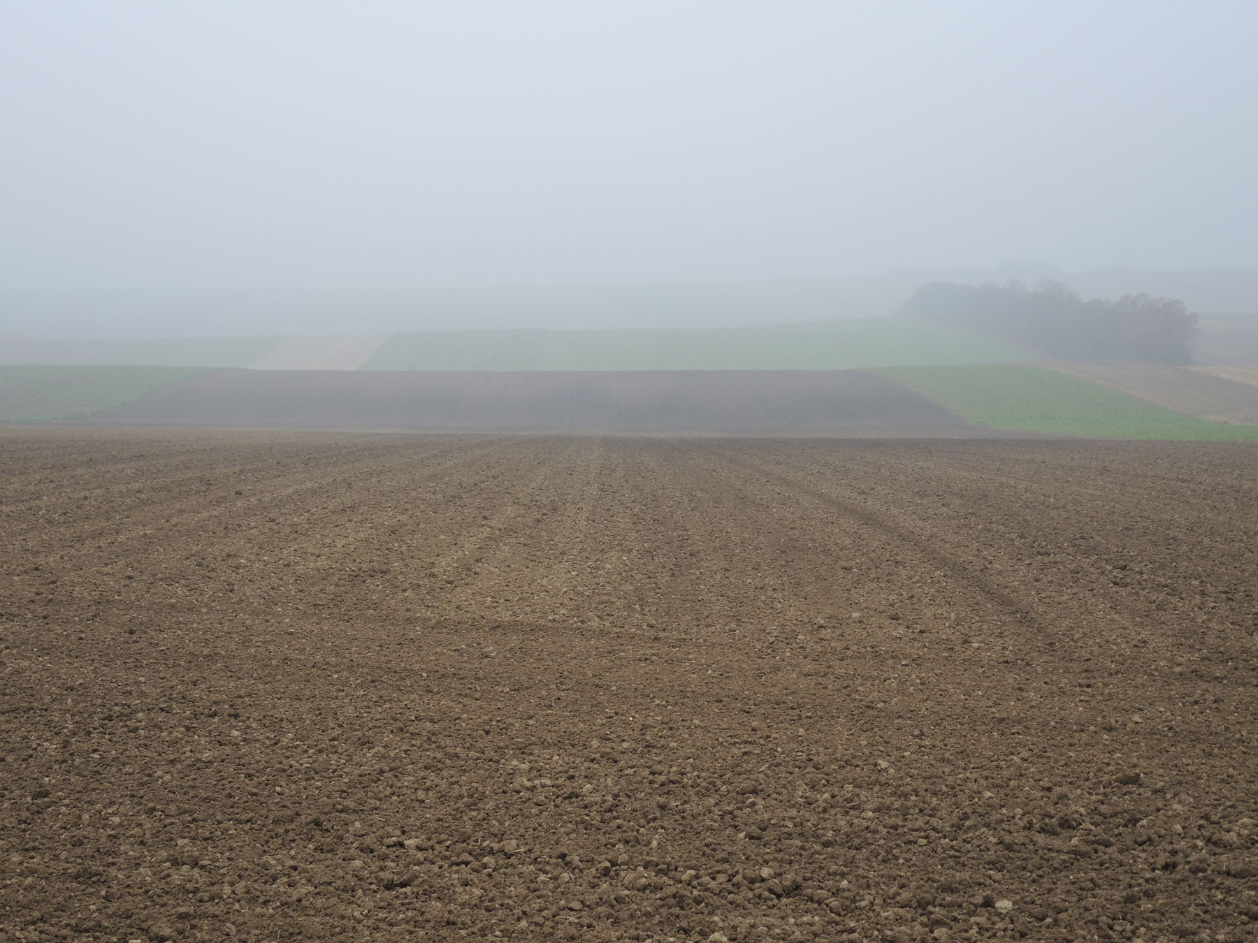 © Andrea Uhl LK NÖ © Andrea Uhl LK NÖ