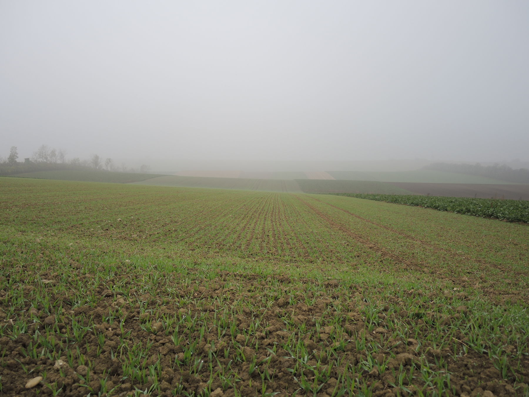 © Andrea Uhl LK NÖ © Andrea Uhl LK NÖ