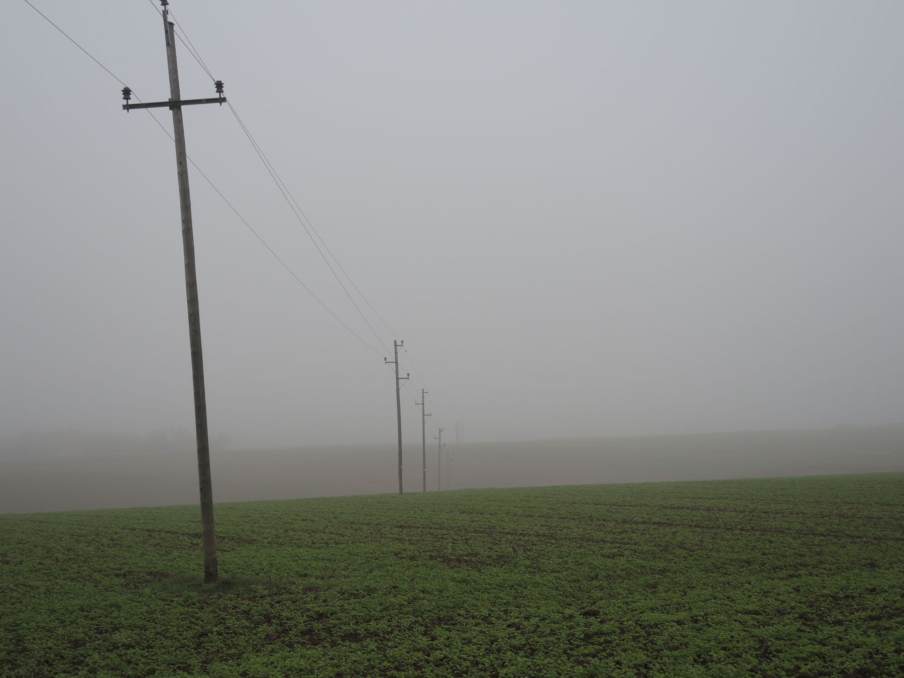 © Andrea Uhl LK NÖ © Andrea Uhl LK NÖ