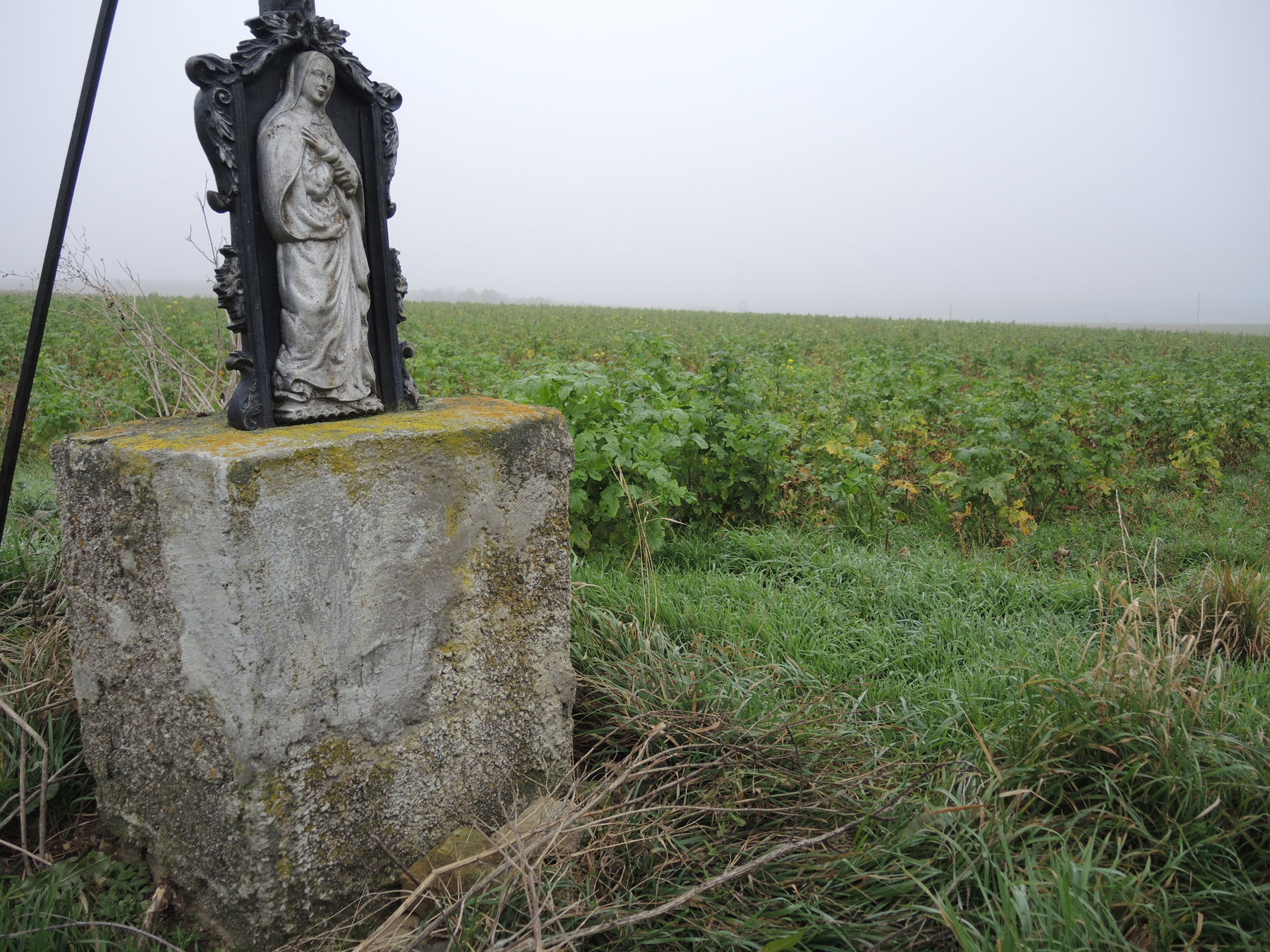 © Andrea Uhl LK NÖ © Andrea Uhl LK NÖ