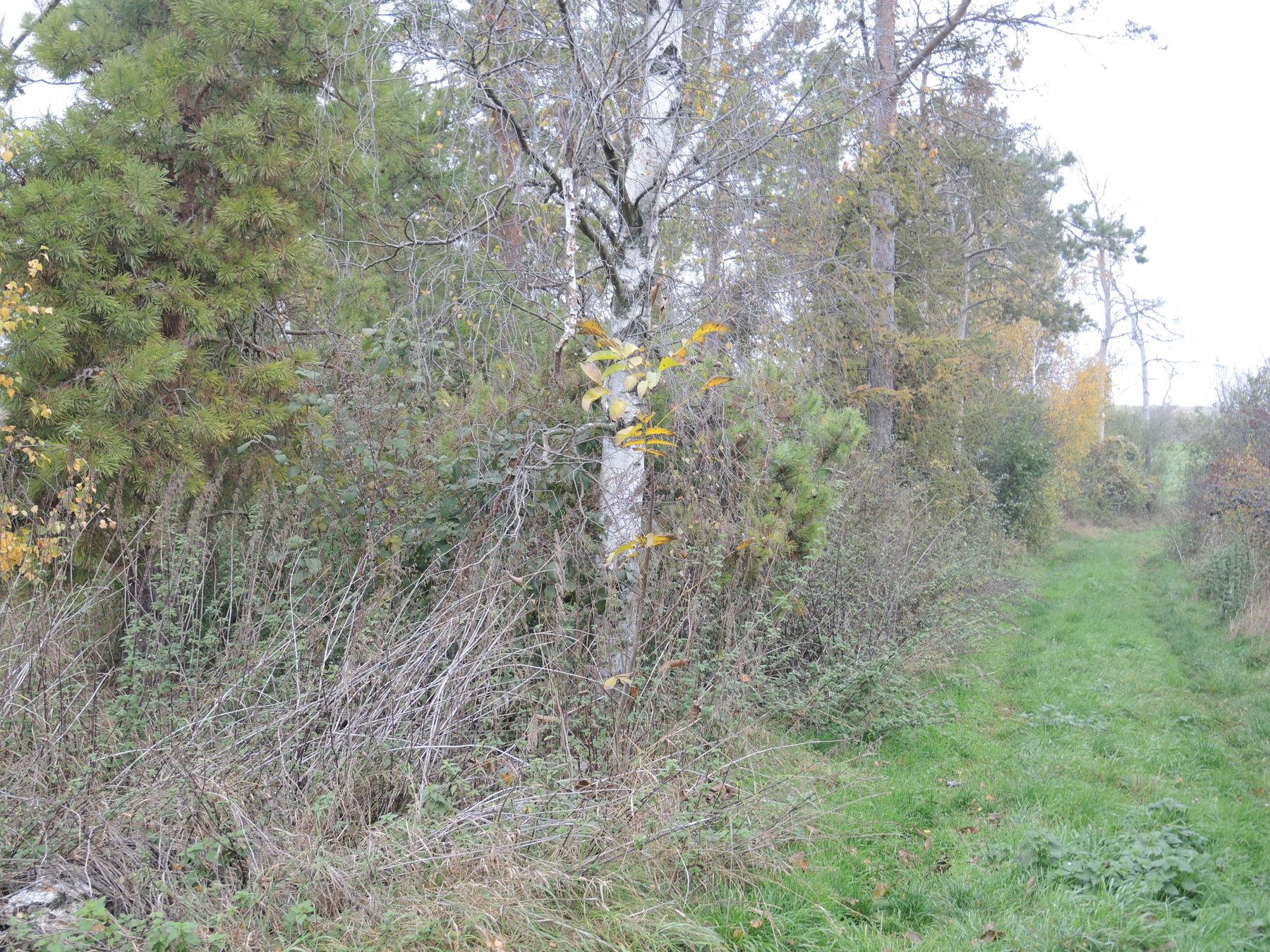 © Andrea Uhl LK NÖ © Andrea Uhl LK NÖ