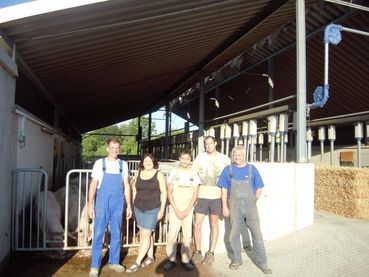 Betrieb Marchhart in Föllim 2.jpg © LK NÖ/ Berger Betrieb Marchhart in Föllim 2.jpg © LK NÖ/ Berger