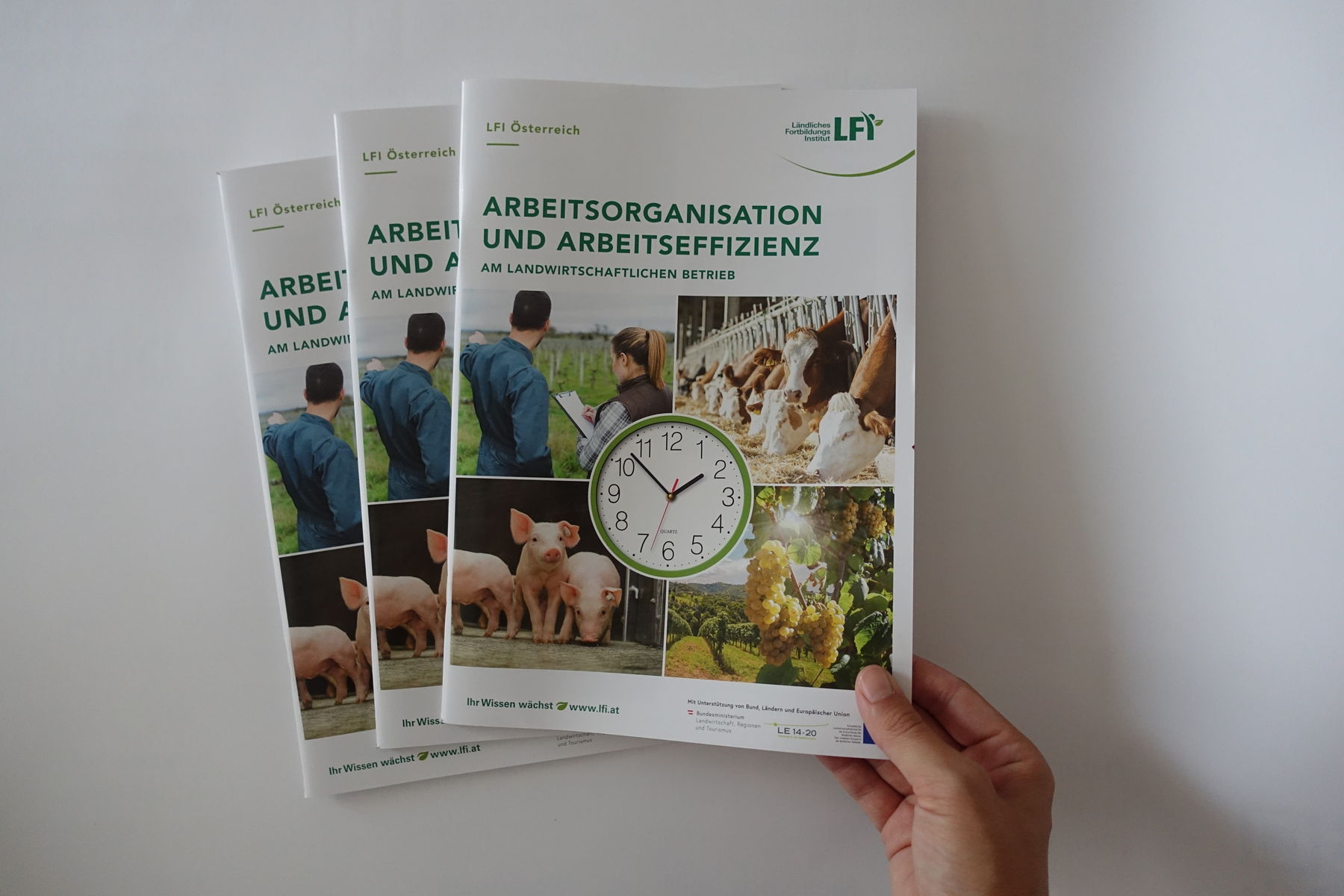 Broschüre "Arbeitsorganisation und Arbeitseffizienz am landwirtschaftlichen Betrieb".jpg