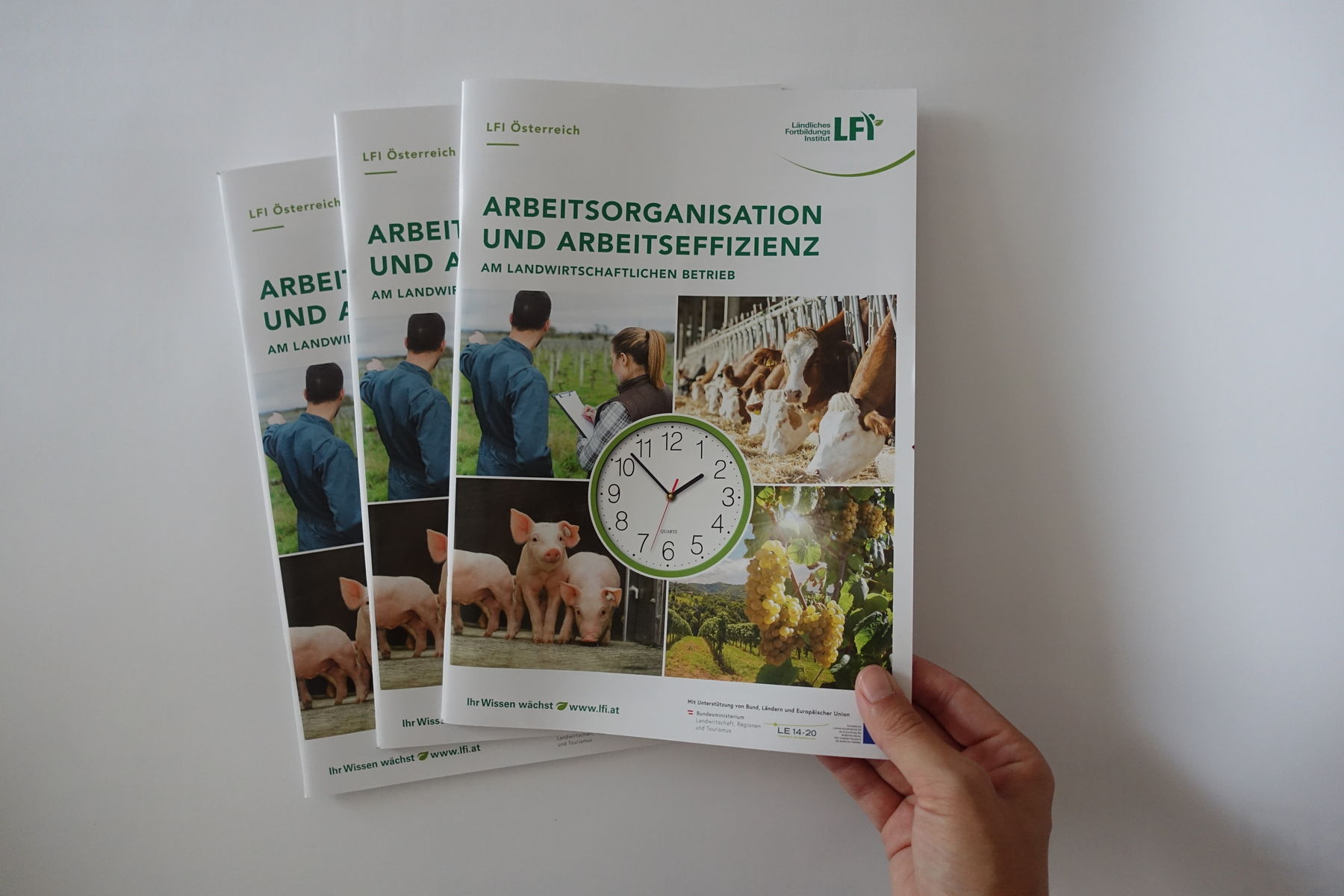 Broschüre  Arbeitsorganisation und Arbeitseffizienz am landwirtschaftlichen Betrieb .jpg © LK NÖ/ Berger Broschüre  Arbeitsorganisation und Arbeitseffizienz am landwirtschaftlichen Betrieb .jpg © LK NÖ/ Berger