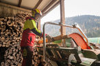LK Holzscheiter 0027.jpg LK Holzscheiter 0027.jpg