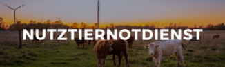 Nutztiernotdienst_lk burgenland foto (c) Evi T. on Unsplash © Evi T./Unsplash Nutztiernotdienst_lk burgenland foto (c) Evi T. on Unsplash © Evi T./Unsplash