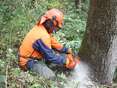 Schutzausrüstung und korrekte Schnitttechnik gewährleisten eine sichere Waldarbeit..jpg