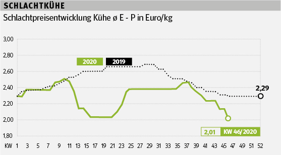 KW 46.png © Grafik RZV KW 46.png © Grafik RZV