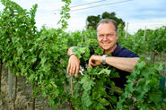 Fritz Wieninger.jpg © Wieninger Stammersdorf Fritz Wieninger.jpg © Wieninger Stammersdorf