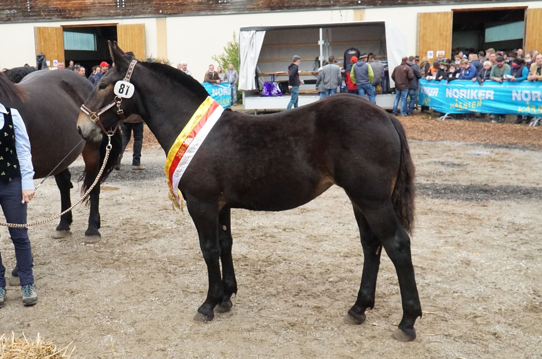 Gayle(2).jpg © LK Kärnten/Stefanie Wuzella Gayle(2).jpg © LK Kärnten/Stefanie Wuzella