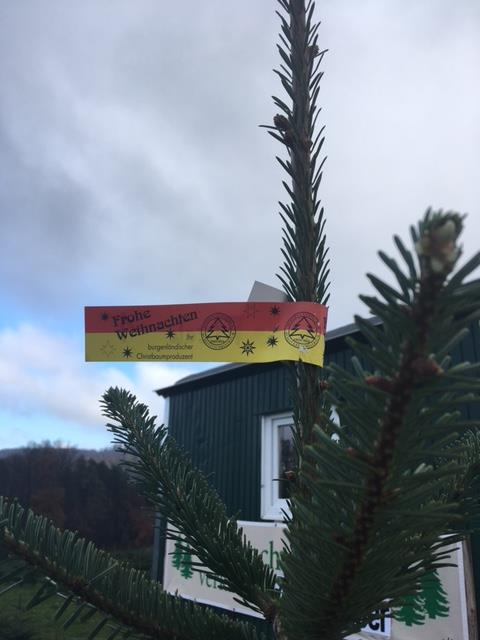 christbaum.png © Hettlinger/Bgld. LK christbaum.png © Hettlinger/Bgld. LK