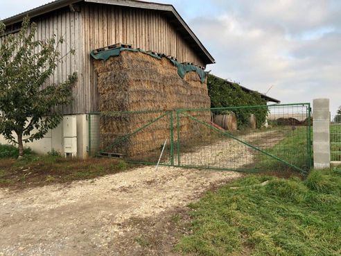 Tor mit festem Schotterboden © Beratungsteam Schweinehaltung/LK Niederösterreich