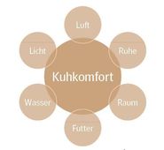 Kuhkomfort.jpg © Hulsen 2004 Kuhkomfort.jpg © Hulsen 2004
