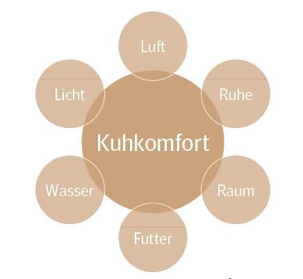 Kuhkomfort.jpg © Hulsen 2004 Kuhkomfort.jpg © Hulsen 2004