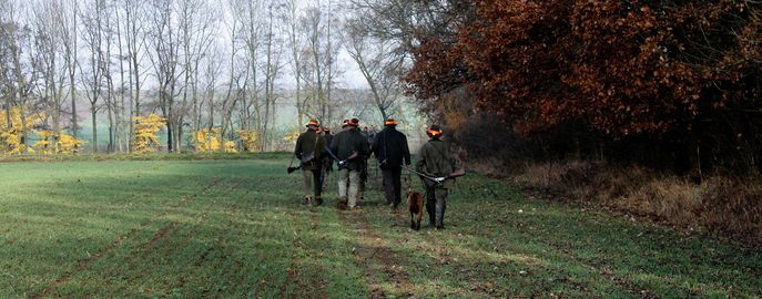 Web Header Forst Grundeigentum Jagd © Michael Reh / LK Oberösterreich