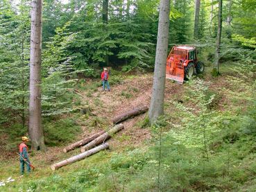 Holzbringung mit Seilwinde.jpg