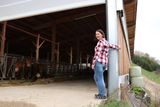 Florian und Anita Beiglböck aus Hochneukirchen planten einen mehrhäusigen Flachstall für Mutterkühe mit Nachzucht & Rindermast mit einem LK Bauberater. © Paula Pöchlauer-Kozel/LK Niederösterreich