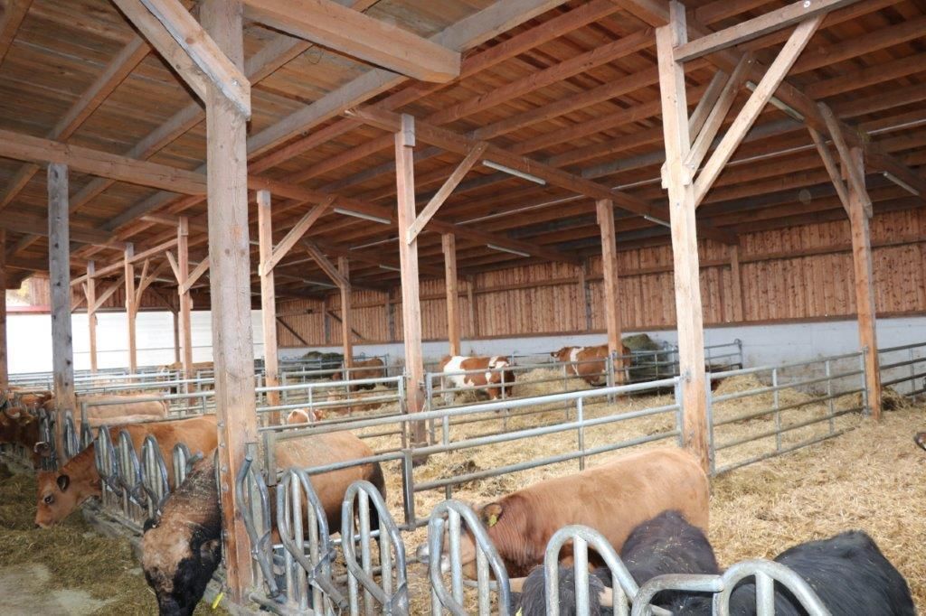 © Paula Pöchlauer-Kozel/LK Niederösterreich © Paula Pöchlauer-Kozel/LK Niederösterreich