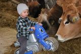 Florian und Anita Beiglböck aus Hochneukirchen planten einen mehrhäusigen Flachstall für Mutterkühe mit Nachzucht & Rindermast mit einem LK Bauberater. © Paula Pöchlauer-Kozel/LK Niederösterreich