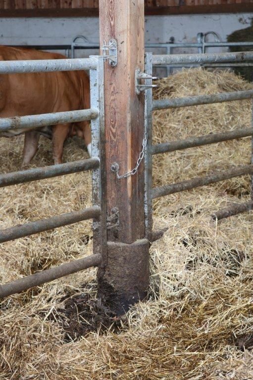 Florian und Anita Beiglböck aus Hochneukirchen planten einen mehrhäusigen Flachstall für Mutterkühe mit Nachzucht & Rindermast mit einem LK Bauberater. © Paula Pöchlauer-Kozel/LK Niederösterreich