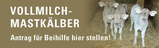 LK_Tirol_Banner_1sp_Kälber © LK Tirol