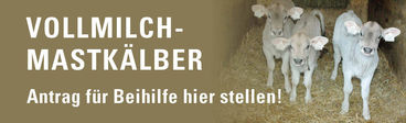 LK_Tirol_Banner_1sp_Kälber © LK Tirol