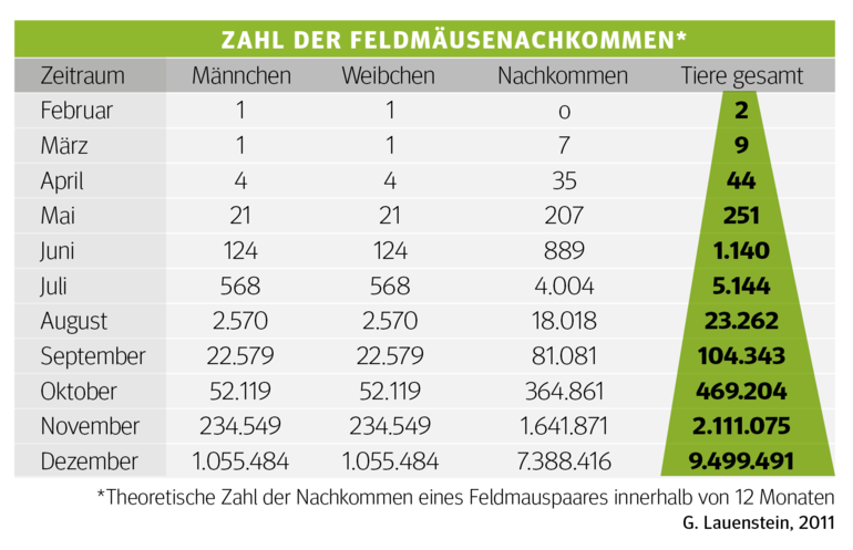 Bildschirmfoto 2020-12-01 um 16.10.20.png