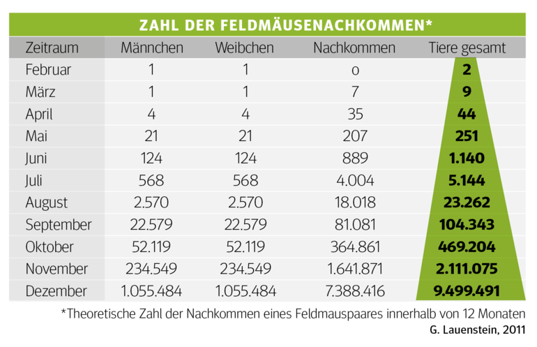 Bildschirmfoto 2020-12-01 um 16.10.20.png © Archiv Bildschirmfoto 2020-12-01 um 16.10.20.png © Archiv