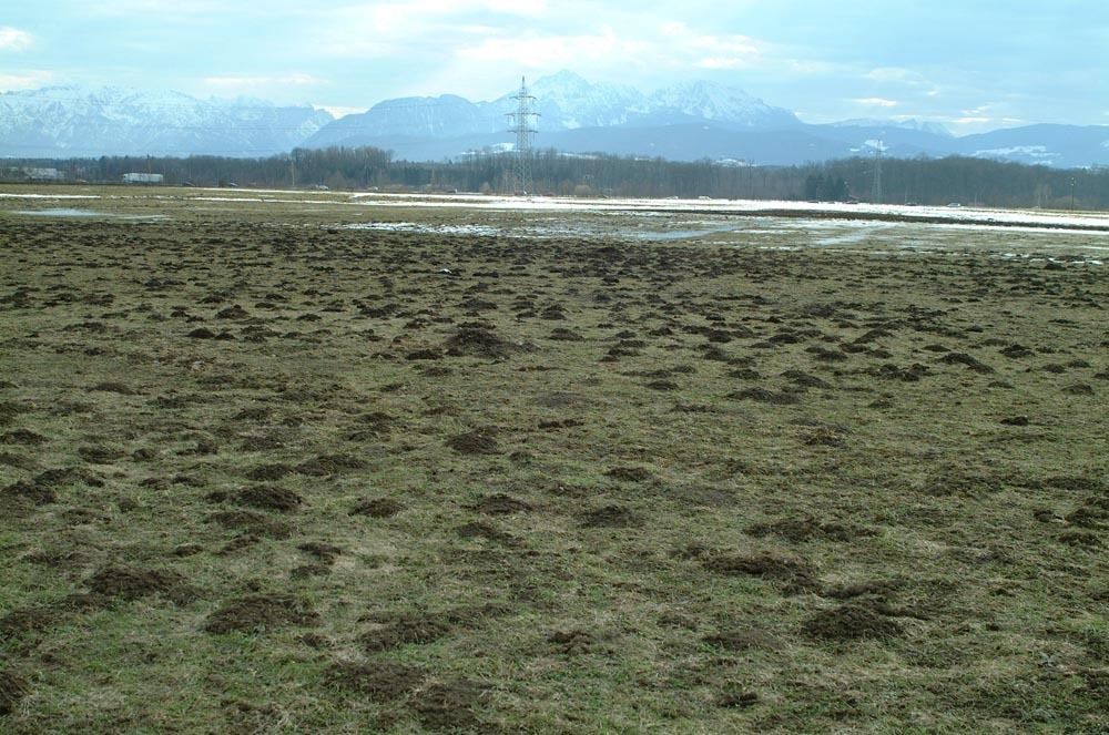 Plagegeister am Feld erfolgreich loswerden.jpg © Dürnberger Plagegeister am Feld erfolgreich loswerden.jpg © Dürnberger