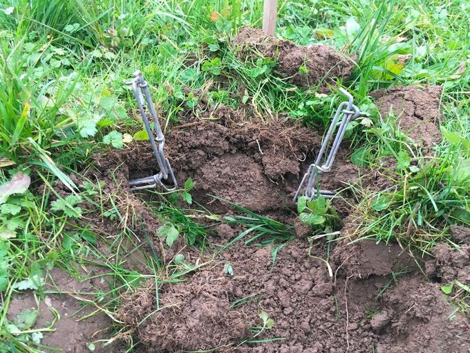 Plagegeister am Feld erfolgreich loswerden.jpg © Dürnberger Plagegeister am Feld erfolgreich loswerden.jpg © Dürnberger