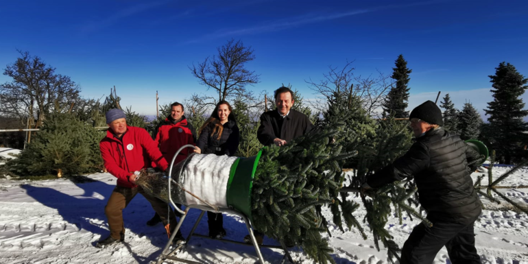 Christbaum.png Christbaum.png