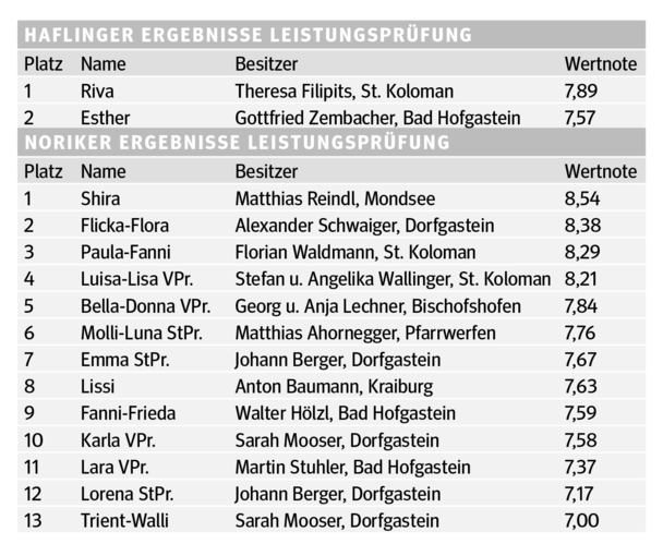 Leistungsprüfung Noriker Haflinger 2020.png © PZV Leistungsprüfung Noriker Haflinger 2020.png © PZV