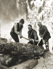 Holzarbeit1.png © Archiv/Standl Holzarbeit1.png © Archiv/Standl