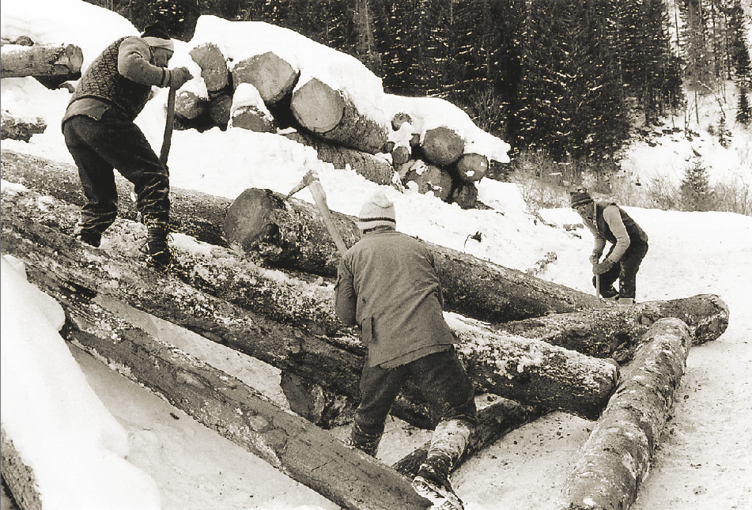 Holzarbeit2.png © Archiv/Standl Holzarbeit2.png © Archiv/Standl