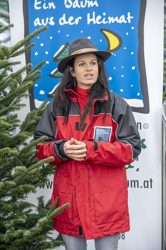 LK_PkChristbaeume052.jpg © Landwirtschaftskammer Steiermark / Alexander Danner