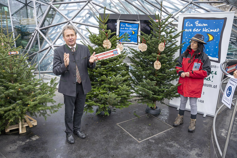 LK_PkChristbaeume065.jpg © Landwirtschaftskammer Steiermark / Alexander Danner