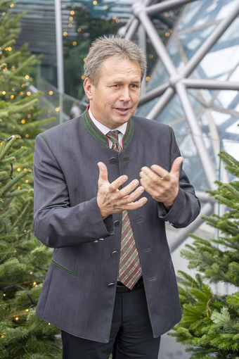 LK_PkChristbaeume094.jpg © Landwirtschaftskammer Steiermark / Alexander Danner