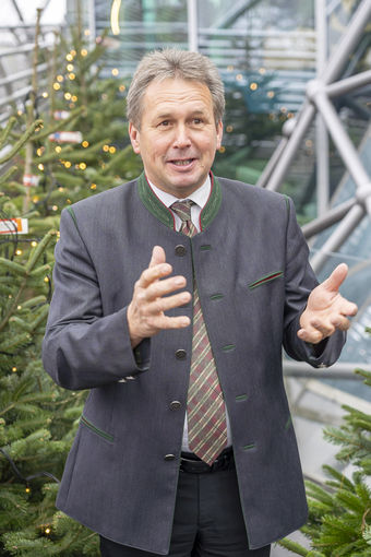LK_PkChristbaeume096.jpg © Landwirtschaftskammer Steiermark / Alexander Danner