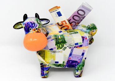 piggy-bank-3297061_1920.jpg © Pixabay