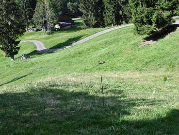 Güterweg.jpg © LK Vorarlberg