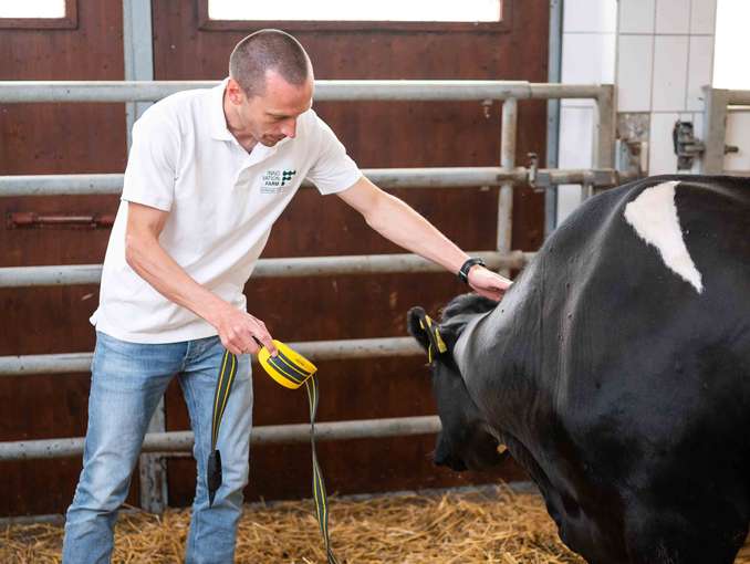 Innenwirtschaft, Rinderhaltung © BMLRT/Paul Gruber Innenwirtschaft, Rinderhaltung © BMLRT/Paul Gruber
