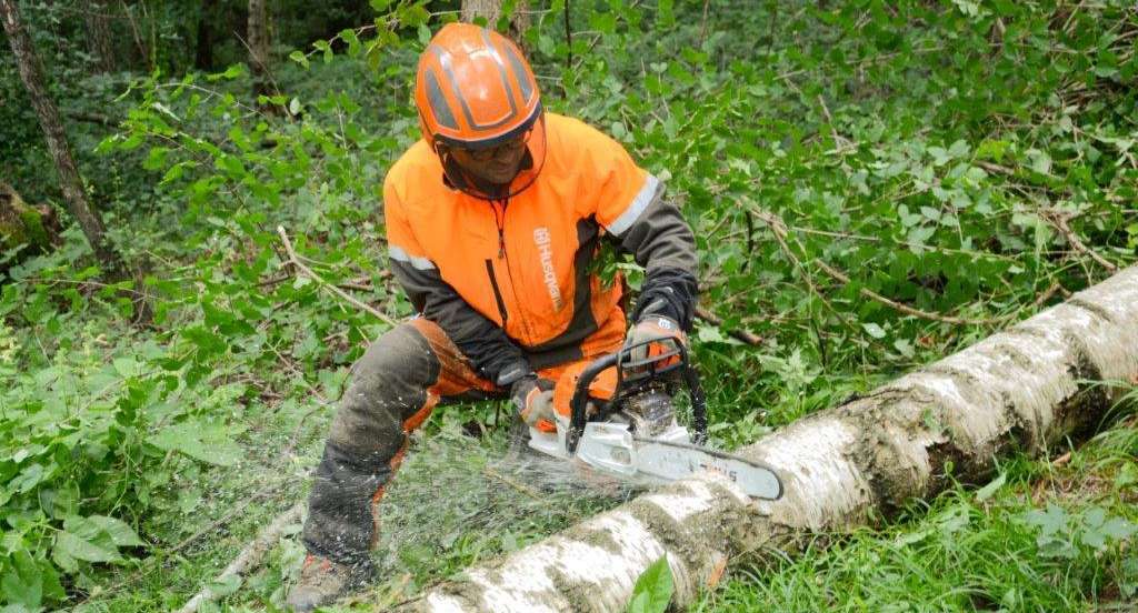 Forstarbeit mit Laubholz.jpg © Zeller/LK Niederösterreich