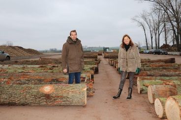 Blick hinter die Kulissen der Laubholzverarbeitung mit Marianne Frey-Amon