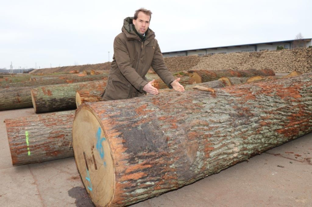© Paula Pöchlauer-Kozel/LK Niederösterreich © Paula Pöchlauer-Kozel/LK Niederösterreich