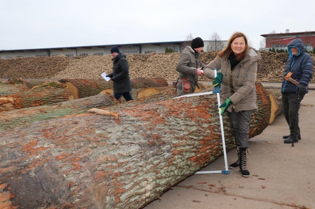 © Paula Pöchlauer-Kozel/LK Niederösterreich © Paula Pöchlauer-Kozel/LK Niederösterreich