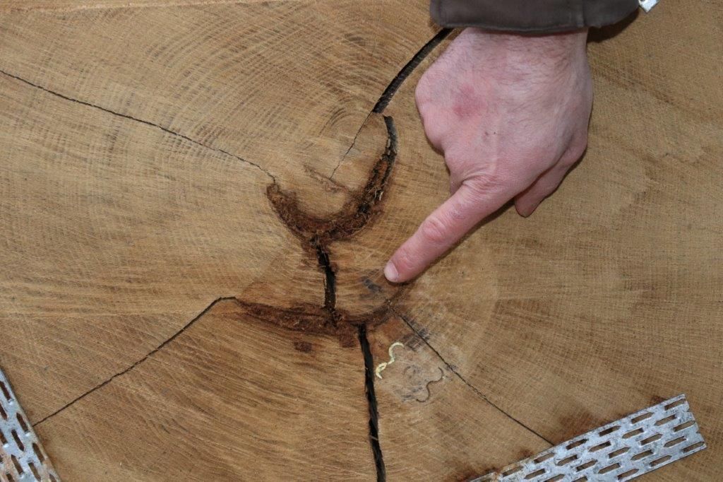 © Paula Pöchlauer-Kozel/LK Niederösterreich © Paula Pöchlauer-Kozel/LK Niederösterreich