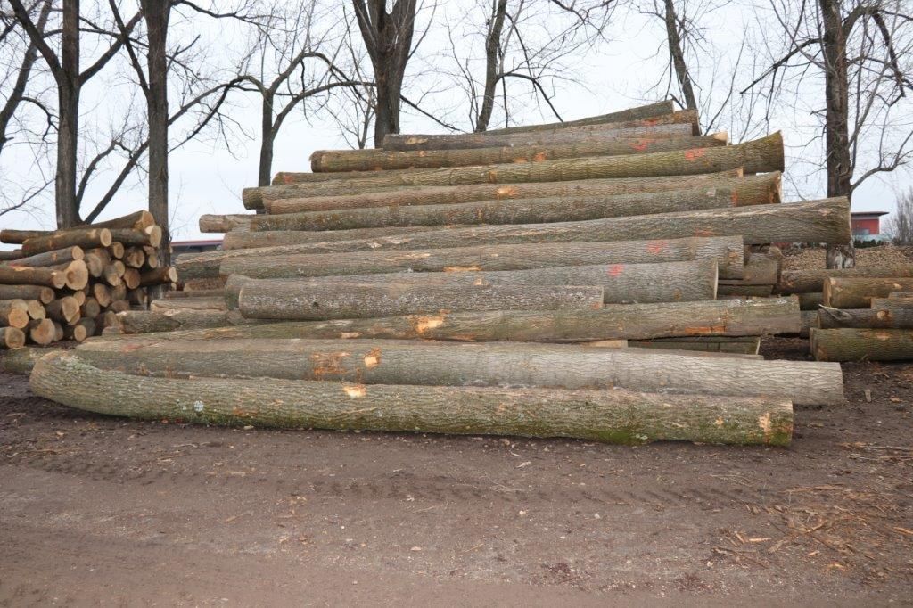 © Paula Pöchlauer-Kozel/LK Niederösterreich © Paula Pöchlauer-Kozel/LK Niederösterreich