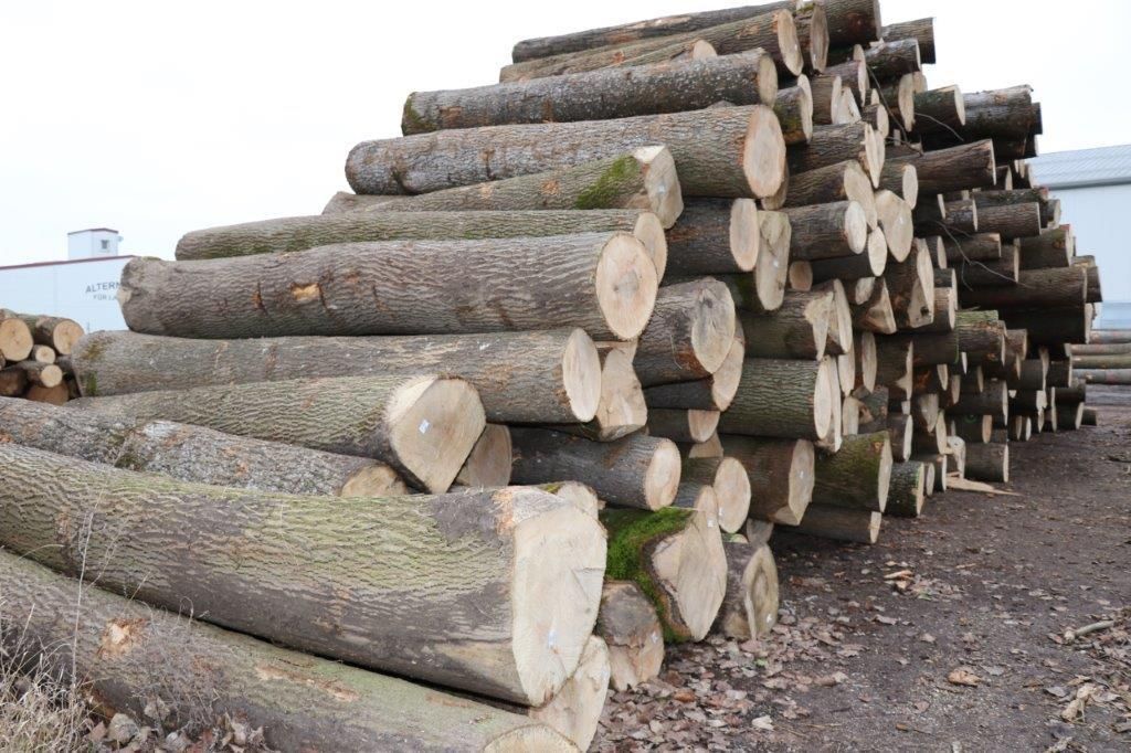 © Paula Pöchlauer-Kozel/LK Niederösterreich © Paula Pöchlauer-Kozel/LK Niederösterreich